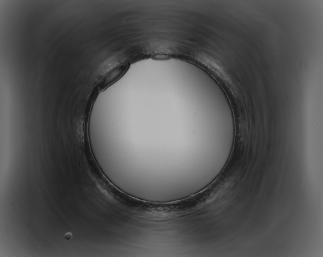 X0000086900489200705071246