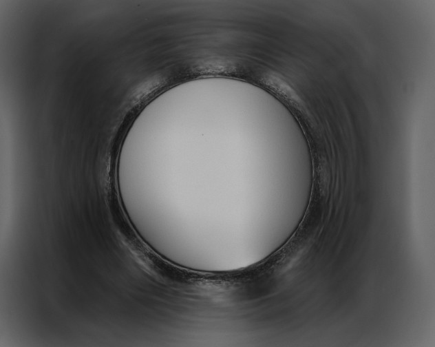 X0000086900490200705071246