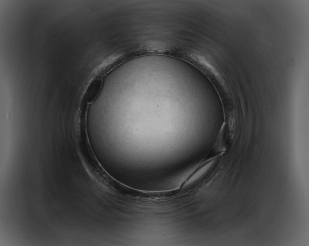 X0000086900492200705071246