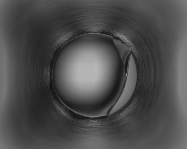 X0000086900493200705071246