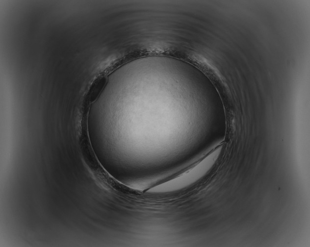 X0000086900496200705071246