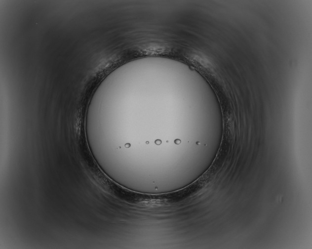 X0000086900499200705071246