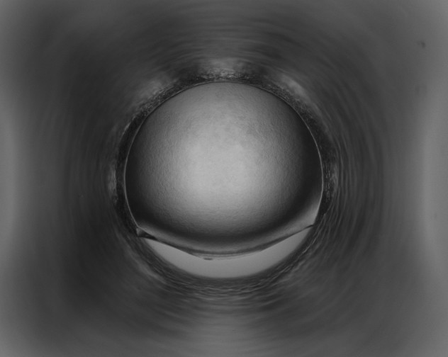 X0000086900500200705071246