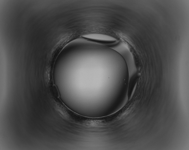 X0000086900501200705071246