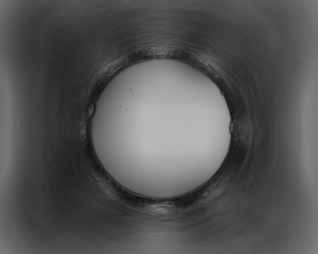 X0000086900505200705071246