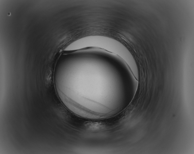 X0000086900507200705071246