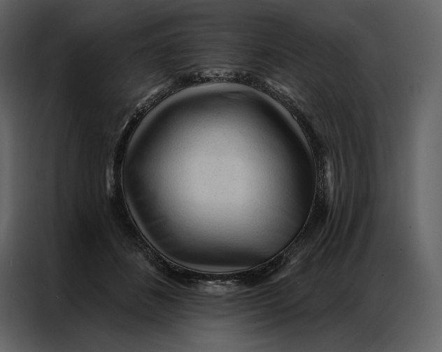 X0000086900508200705071246