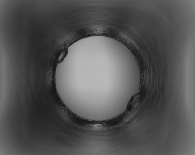 X0000086900509200705071246