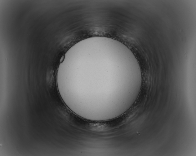 X0000086900511200705071246