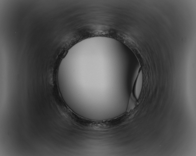 X0000086900512200705071246