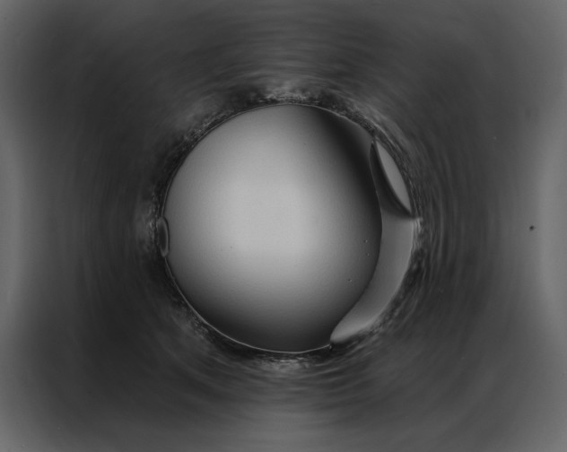 X0000086900513200705071246