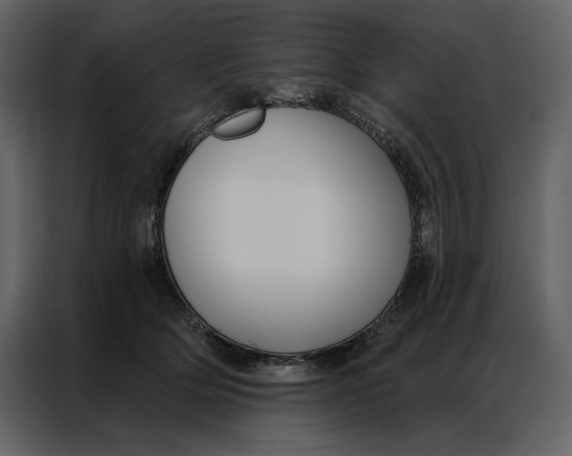 X0000086900514200705071246