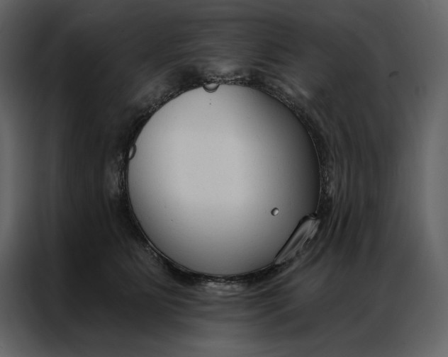 X0000086900515200705071246