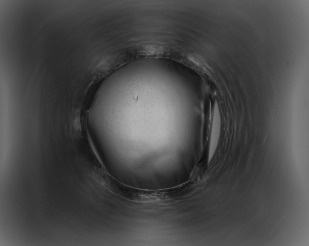 X0000086900516200705071246