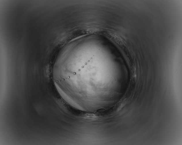 X0000086900519200705071246