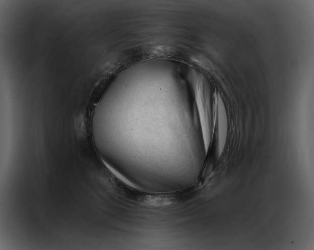 X0000086900520200705071246