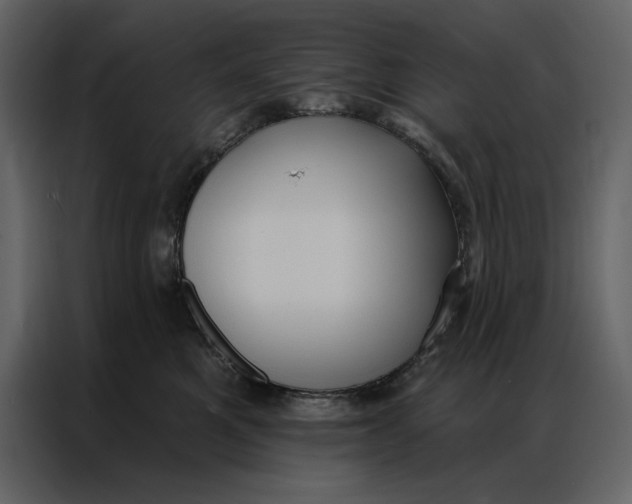 X0000086900521200705071246