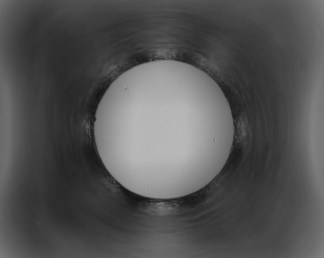 X0000086900522200705071246