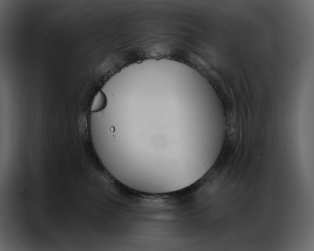 X0000086900523200705071246