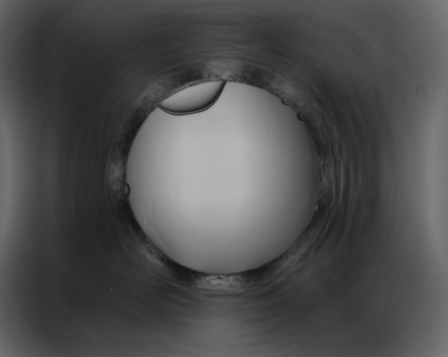 X0000086900526200705071246