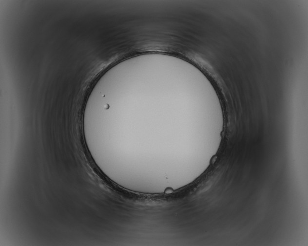 X0000086900529200705071245