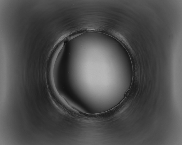 X0000086900530200705071245