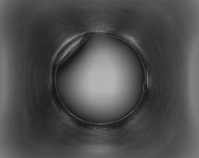 X0000086900531200705071245