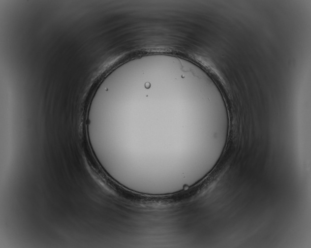 X0000086900533200705071245