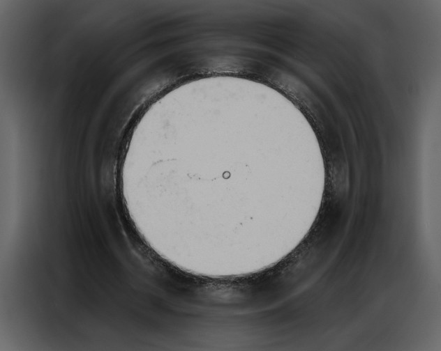 X0000086900534200705071245