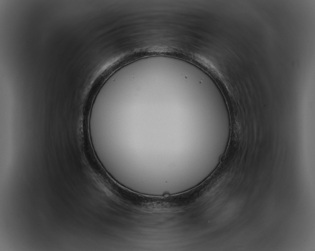 X0000086900535200705071245