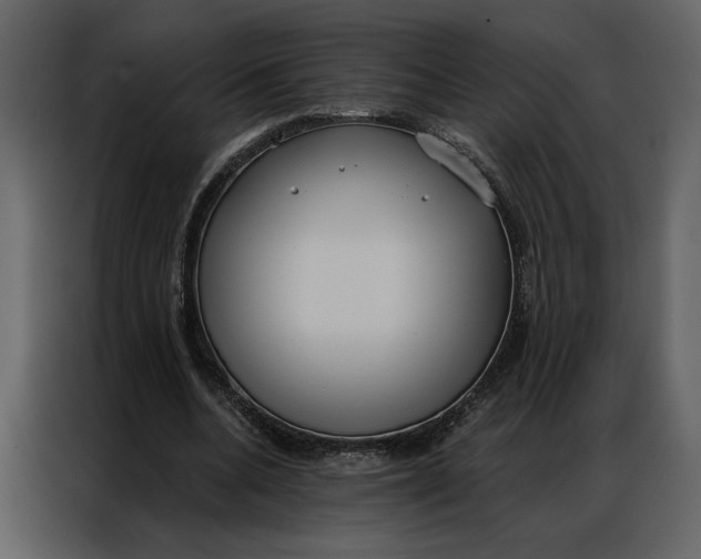 X0000086900536200705071245