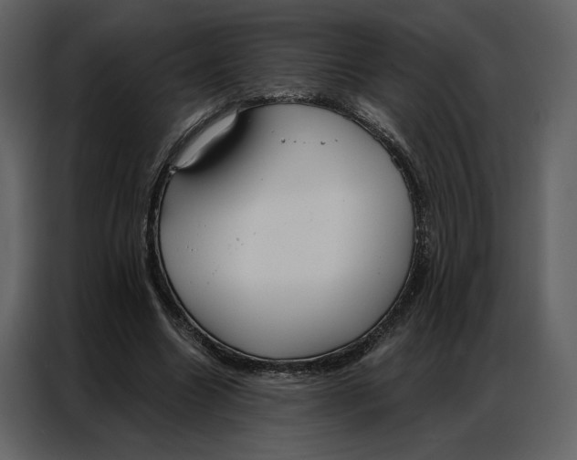 X0000086900538200705071245