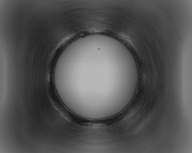 X0000086900539200705071245