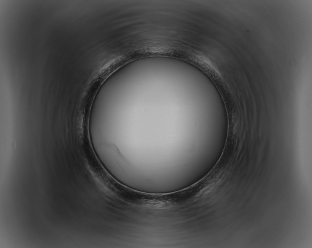 X0000086900542200705071245