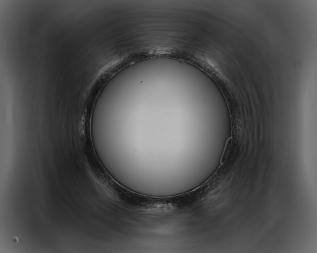 X0000086900543200705071245