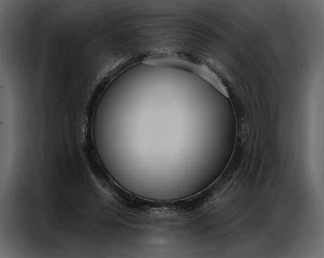 X0000086900544200705071245