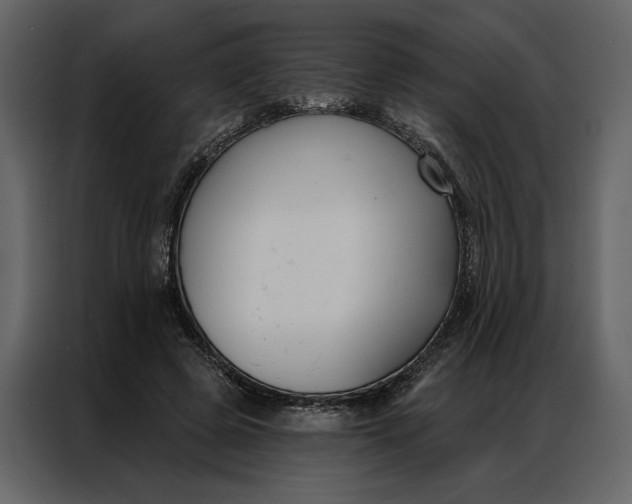 X0000086900545200705071245