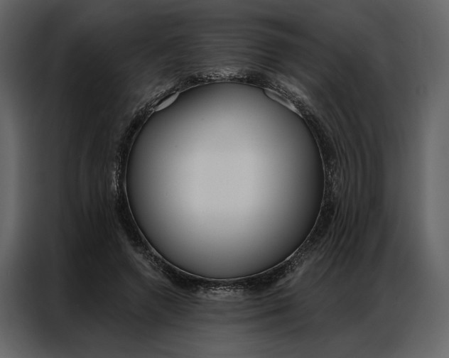 X0000086900546200705071245