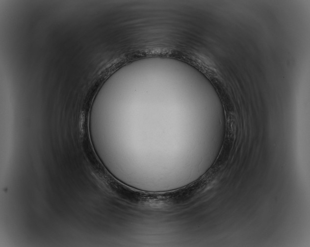 X0000086900550200705071245