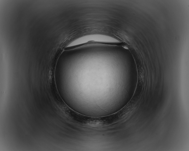 X0000086900551200705071245