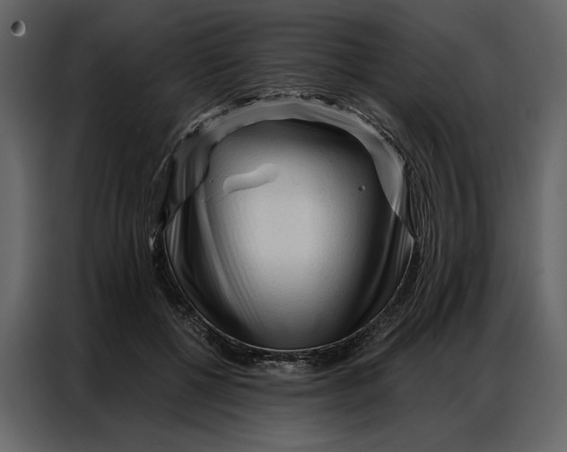 X0000086900552200705071245