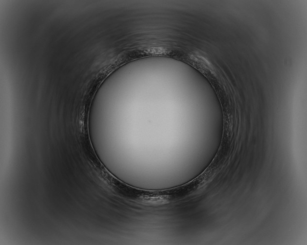 X0000086900553200705071246