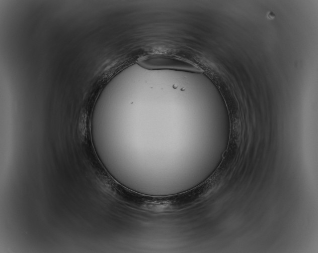 X0000086900554200705071246