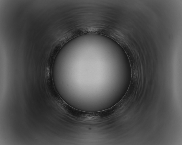 X0000086900555200705071246