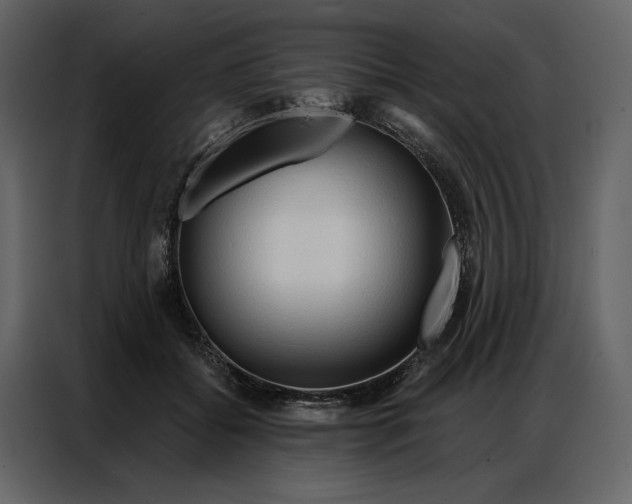 X0000086900556200705071246