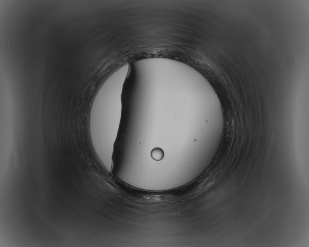 X0000086900558200705071246