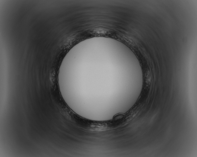 X0000086900559200705071246