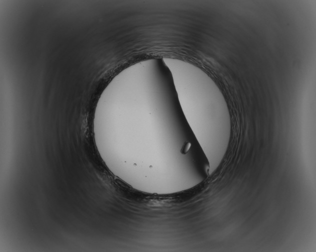 X0000086900560200705071246