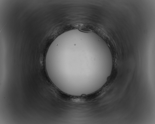 X0000086900561200705071246