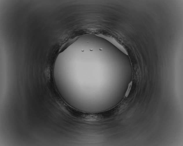 X0000086900562200705071246